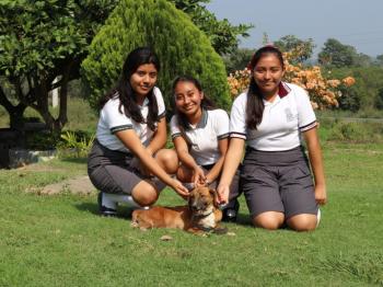 ALUMNOS DEL PLANTEL 51 CREAN PROTOTIPO PARA PERROS DISCAPACITADOS