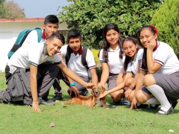 ALUMNOS DEL PLANTEL 51 CREAN PROTOTIPO PARA PERROS DISCAPACITADOS