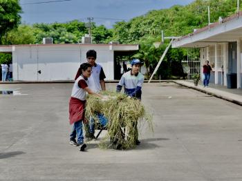 PLANTEL 50 VERACRUZ REALIZA JORNADA DE LIMPIEZA
